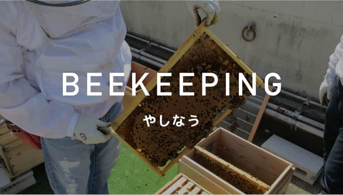 BEEKEEPING やしなう